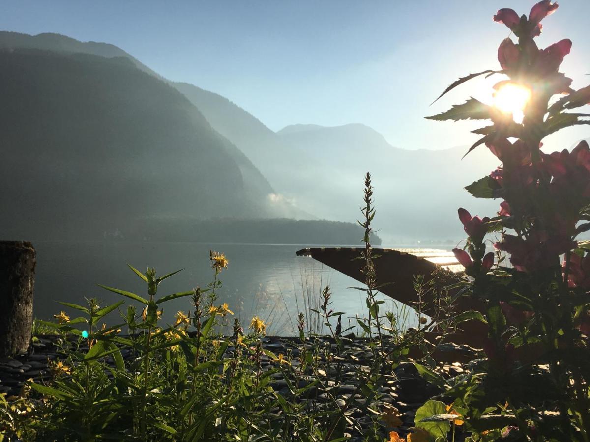 Glueck Am See - Apartment Mit Seezugang ハルシュタット エクステリア 写真